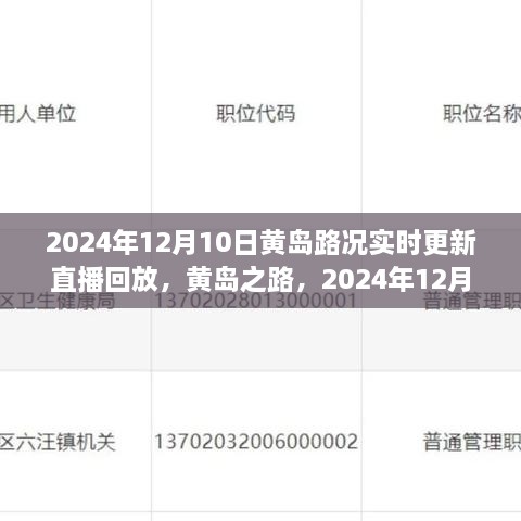 2024年12月10日黃島路況實(shí)錄與深度解讀，實(shí)時(shí)更新直播回放