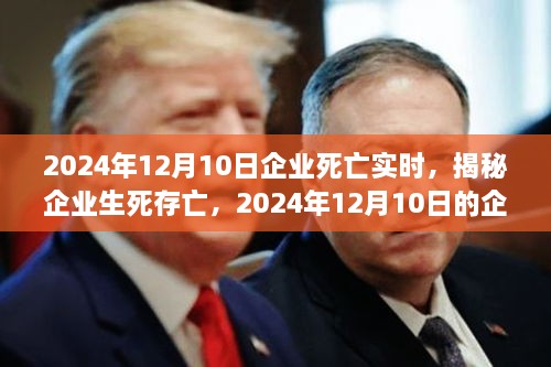 揭秘企業(yè)生死存亡，企業(yè)死亡實時真相揭秘（2024年12月10日）