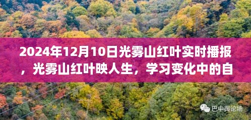 光霧山紅葉映人生，自信與成就之旅的實(shí)時(shí)播報(bào)（2024年12月）