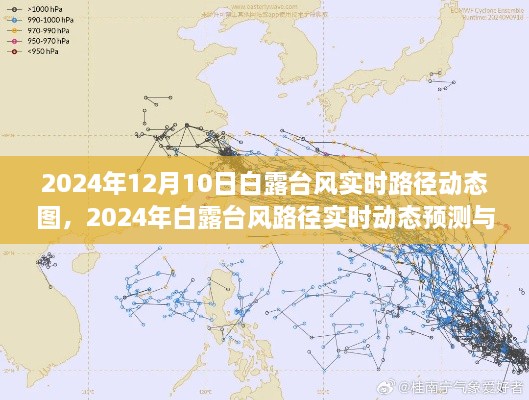 2024年白露臺風(fēng)實(shí)時(shí)路徑動(dòng)態(tài)圖及預(yù)測影響分析