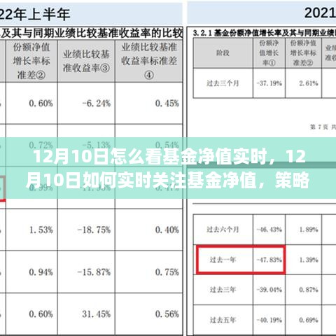 12月10日基金凈值實時關(guān)注策略與技巧，如何掌握基金動態(tài)