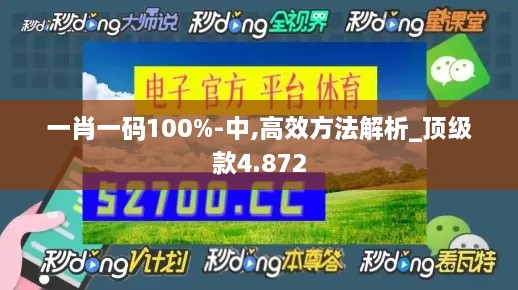 一肖一碼100%-中,高效方法解析_頂級(jí)款4.872