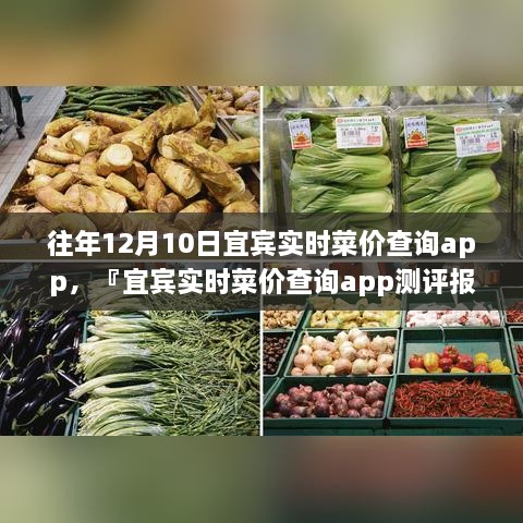 宜賓實(shí)時菜價查詢app歷年功能深度解析與用戶體驗(yàn)洞察測評報告，宜賓歷年菜價變遷一覽無余！