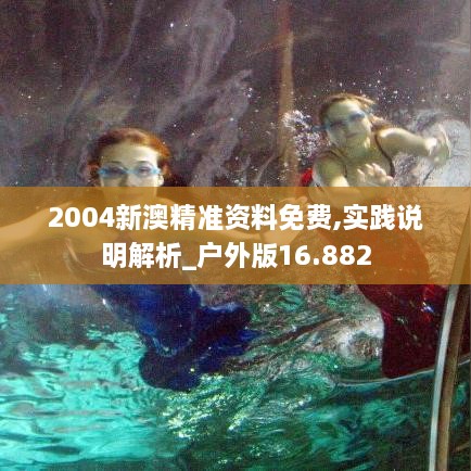 2004新澳精準資料免費,實踐說明解析_戶外版16.882