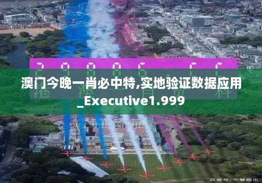 澳門今晚一肖必中特,實地驗證數據應用_Executive1.999