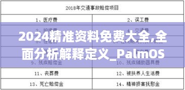 2024精準資料免費大全,全面分析解釋定義_PalmOS12.190