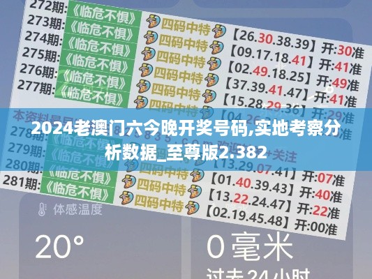 2024老澳門六今晚開獎號碼,實地考察分析數(shù)據(jù)_至尊版2.382