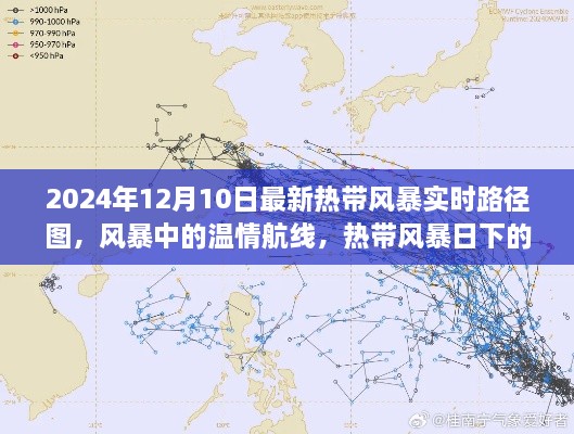 2024年熱帶風(fēng)暴實時路徑圖，風(fēng)暴中的溫情旅程與特殊旅程揭秘