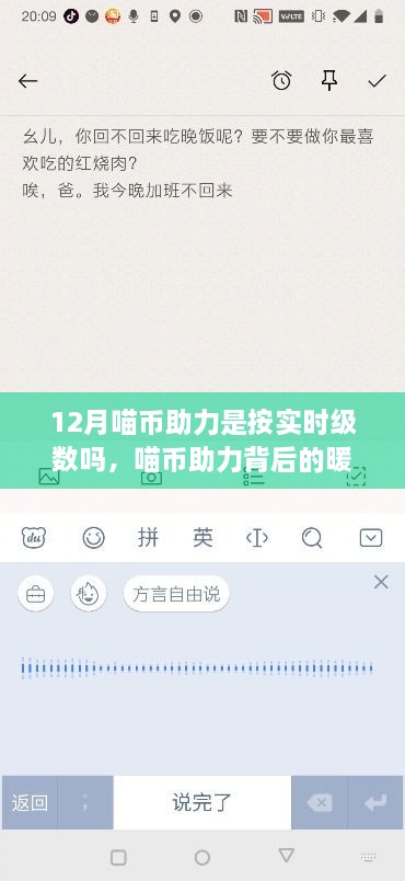 喵幣助力背后的暖心故事，實(shí)時級數(shù)的魔法與友情紐帶揭秘