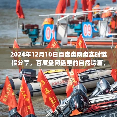 百度盤網盤心靈詩篇分享，一場實時鏈接的心靈之旅啟程（2024年12月10日）