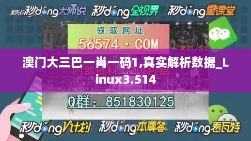 澳門大三巴一肖一碼1,真實解析數據_Linux3.514