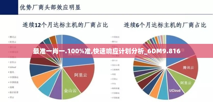 最準(zhǔn)一肖一.100%準(zhǔn),快速響應(yīng)計(jì)劃分析_6DM9.816