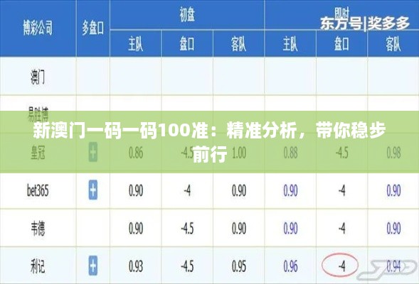 新澳門一碼一碼100準：精準分析，帶你穩(wěn)步前行