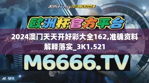 2024澳門(mén)天天開(kāi)好彩大全162,準(zhǔn)確資料解釋落實(shí)_3K1.521