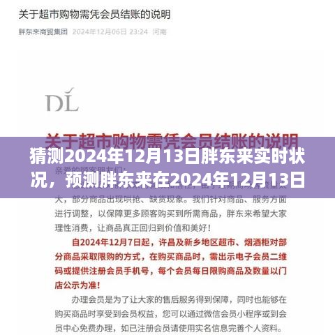 2024年12月13日胖東來(lái)商業(yè)前景預(yù)測(cè)與實(shí)時(shí)狀況分析