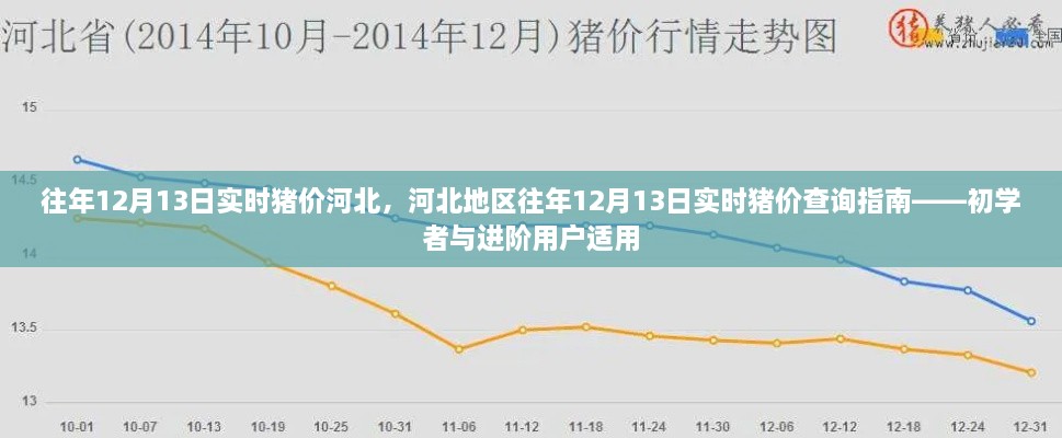 河北地區(qū)歷年12月13日實時豬價查詢指南，初學(xué)者與進(jìn)階用戶必備參考