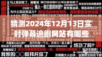 2024年實(shí)時(shí)彈幕追劇網(wǎng)站展望，背景、發(fā)展與行業(yè)地位深度解析