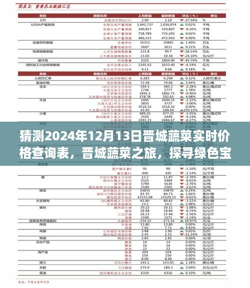 晉城蔬菜價(jià)格預(yù)測(cè)與綠色寶藏探尋之旅，心靈之旅啟程于2024年12月13日