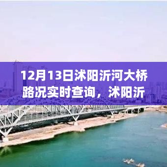 沭陽(yáng)沂河大橋?qū)崟r(shí)路況深度解析，影響與價(jià)值探討