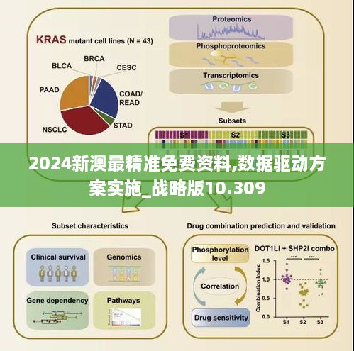 2024新澳最精準(zhǔn)免費資料,數(shù)據(jù)驅(qū)動方案實施_戰(zhàn)略版10.309