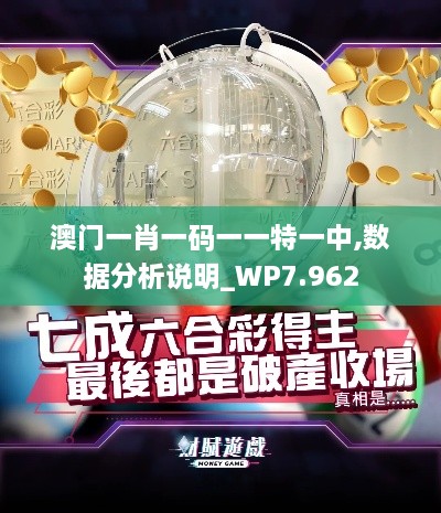 澳門一肖一碼一一特一中,數(shù)據(jù)分析說明_WP7.962