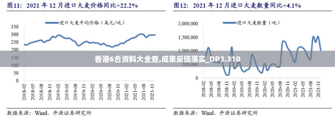 香港6合資料大全查,成果反饋落實(shí)_DP3.310