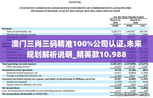 澳門三肖三碼精準(zhǔn)100%公司認(rèn)證,未來(lái)規(guī)劃解析說(shuō)明_精英款10.988