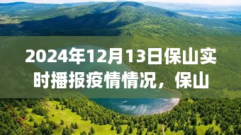 保山疫情實(shí)時(shí)播報(bào)與美景之旅，心靈避風(fēng)港，啟程尋找內(nèi)心寧?kù)o與奇跡之旅（XXXX年XX月XX日）