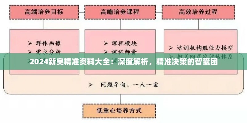 2024新臭精準(zhǔn)資料大全：深度解析，精準(zhǔn)決策的智囊團(tuán)