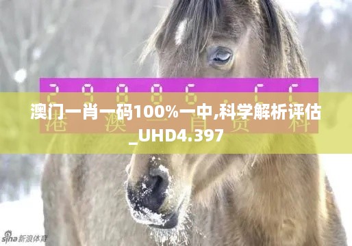 澳門(mén)一肖一碼100%一中,科學(xué)解析評(píng)估_UHD4.397