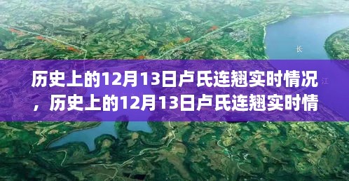 探索歷史上的盧氏連翹實時情況，指南與手冊揭秘盧氏連翹奧秘