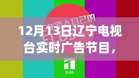 遼寧電視臺(tái)揭秘最新高科技產(chǎn)品，重塑未來(lái)生活體驗(yàn)直播秀