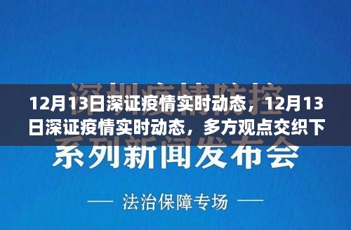 多方觀點交織下的洞察與反思，12月13日深證疫情實時動態(tài)分析