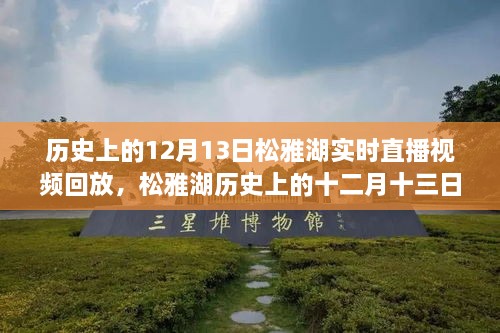 松雅湖直播回放，探尋歷史記憶碎片的十二月十三日