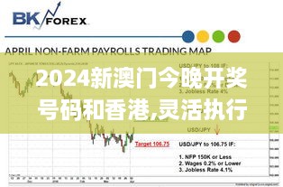 2024新澳門(mén)今晚開(kāi)獎(jiǎng)號(hào)碼和香港,靈活執(zhí)行策略_C版110.434