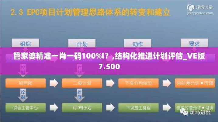 管家婆精準一肖一碼100%l？,結(jié)構(gòu)化推進計劃評估_VE版7.500