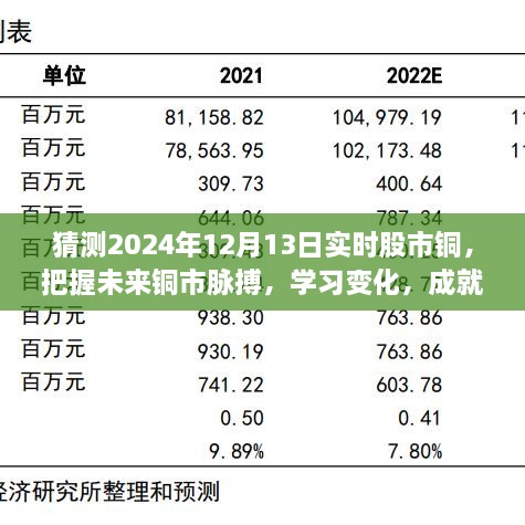 揭秘2024年12月13日股市銅市走向，洞悉變化成就投資夢想