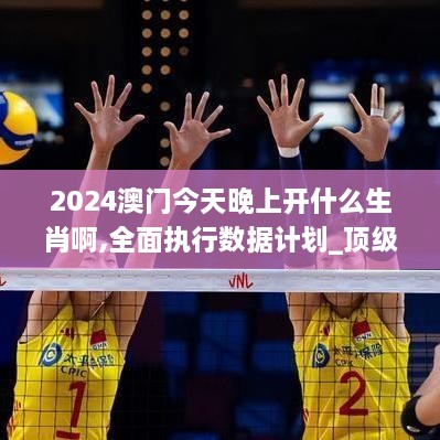 2024澳門今天晚上開什么生肖啊,全面執(zhí)行數據計劃_頂級款10.847