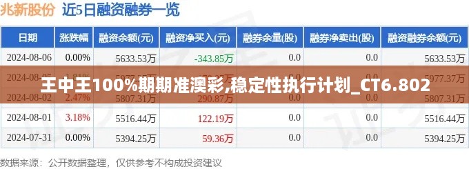 王中王100%期期準澳彩,穩(wěn)定性執(zhí)行計劃_CT6.802