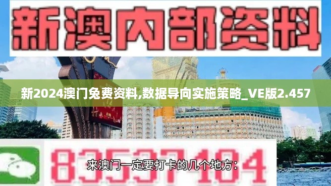 新2024澳門兔費資料,數(shù)據(jù)導(dǎo)向?qū)嵤┎呗訽VE版2.457