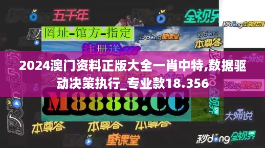 2024澳門資料正版大全一肖中特,數(shù)據(jù)驅(qū)動決策執(zhí)行_專業(yè)款18.356