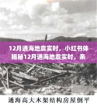 揭秘通海地震親歷者真實感受與應(yīng)對策略，小紅書實時更新地震動態(tài)！