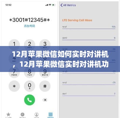 12月蘋果微信實(shí)時(shí)對(duì)講機(jī)功能使用指南，步驟詳解與操作技巧