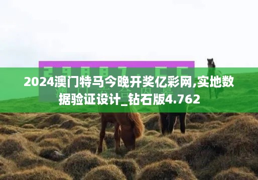 2024澳門特馬今晚開獎億彩網(wǎng),實地數(shù)據(jù)驗證設計_鉆石版4.762