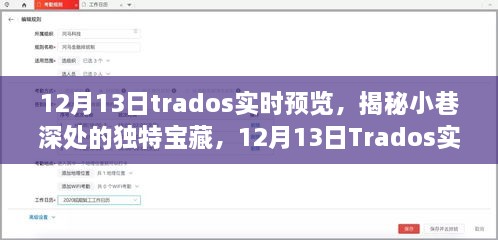 揭秘小巷深處的獨(dú)特寶藏，Trados實(shí)時(shí)預(yù)覽之旅（12月13日）