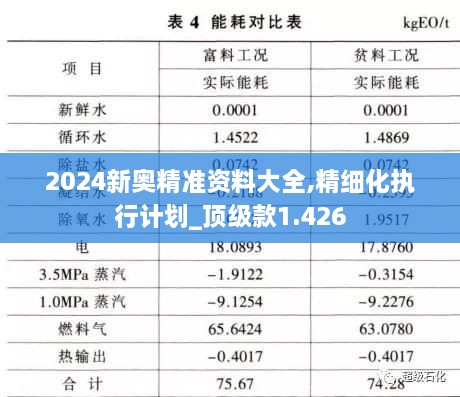 2024新奧精準(zhǔn)資料大全,精細(xì)化執(zhí)行計劃_頂級款1.426