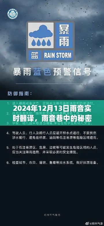 雨音巷的秘密寶藏，實(shí)時(shí)翻譯小店的傳奇故事（2024年12月13日）