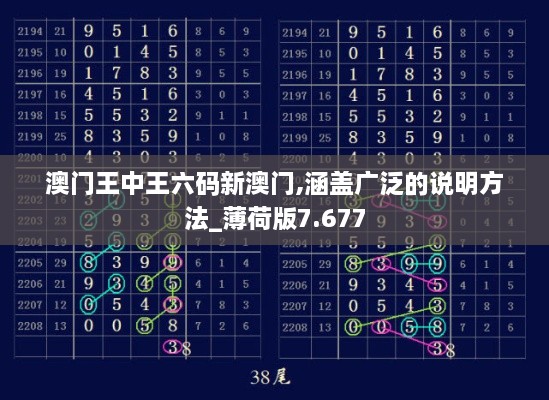 澳門王中王六碼新澳門,涵蓋廣泛的說明方法_薄荷版7.677