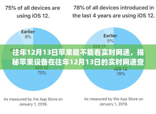 揭秘，往年12月13日蘋果設備實時網(wǎng)速查看功能解析