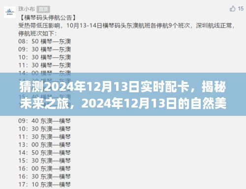 揭秘未來之旅，啟程尋找內(nèi)心的寧靜與平和——2024年12月13日自然美景配卡猜想